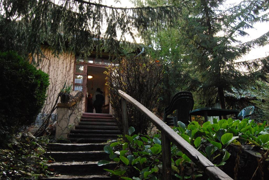 Boroka Apartmanhazak - Oereghaz Velem Rum bild