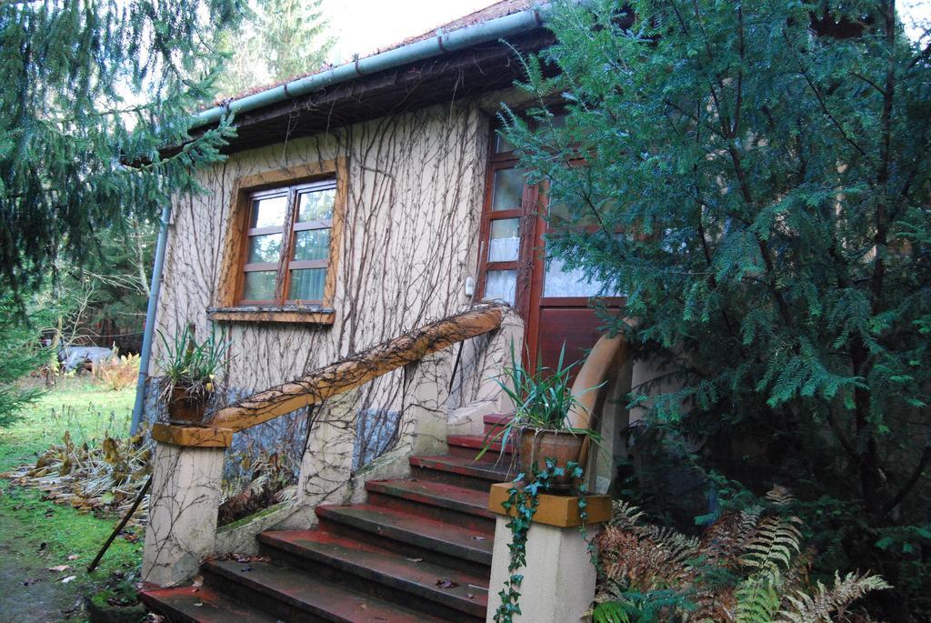 Boroka Apartmanhazak - Oereghaz Velem Rum bild