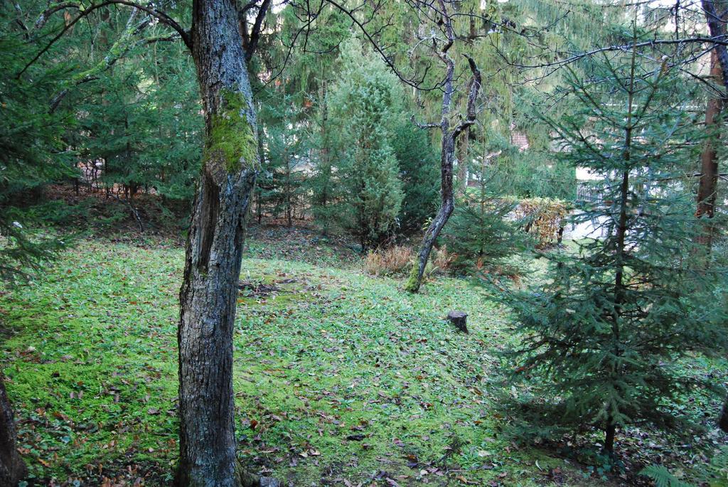 Boroka Apartmanhazak - Oereghaz Velem Rum bild