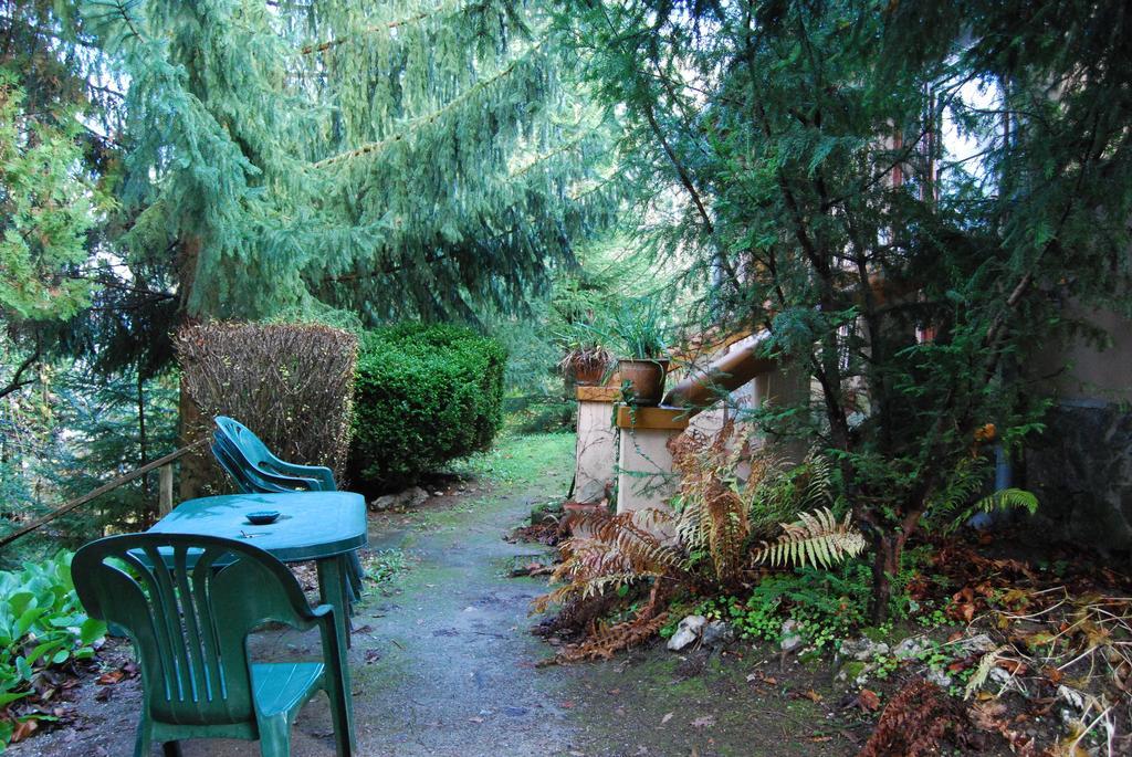 Boroka Apartmanhazak - Oereghaz Velem Rum bild