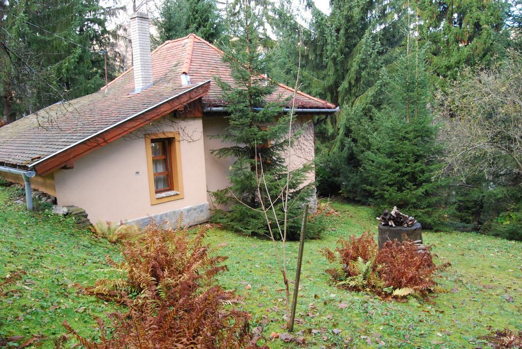 Boroka Apartmanhazak - Oereghaz Velem Rum bild